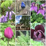 Cosy & Natural Cottage With Fireplace And Garden Heinenoord